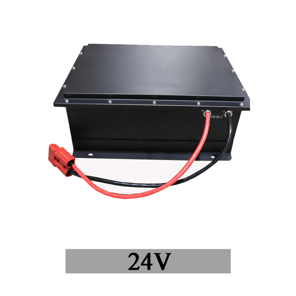 24V 1