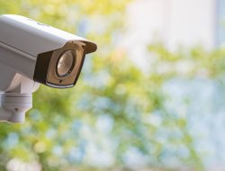 Cameras