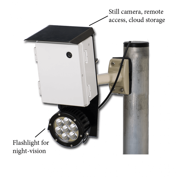 camera no solar